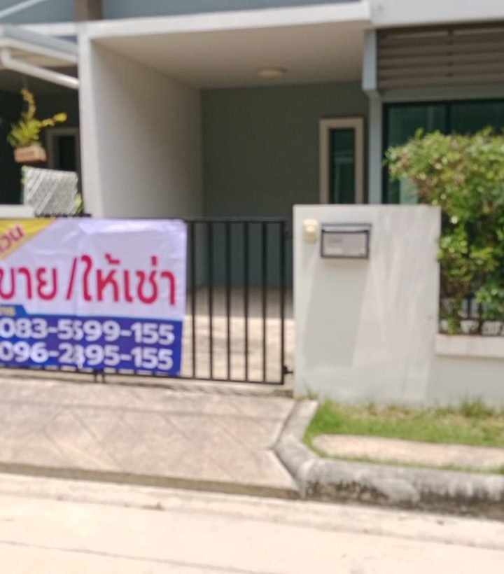 S__39624785